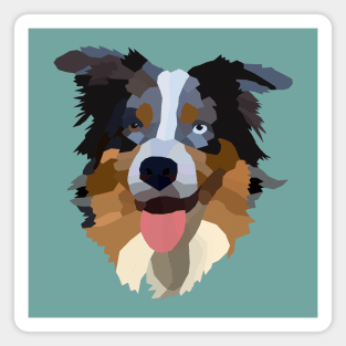 Blue Australian shepherd Magnet